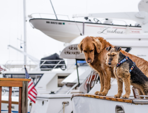 5 Tips on Preparing Your Boat for the Winter Season